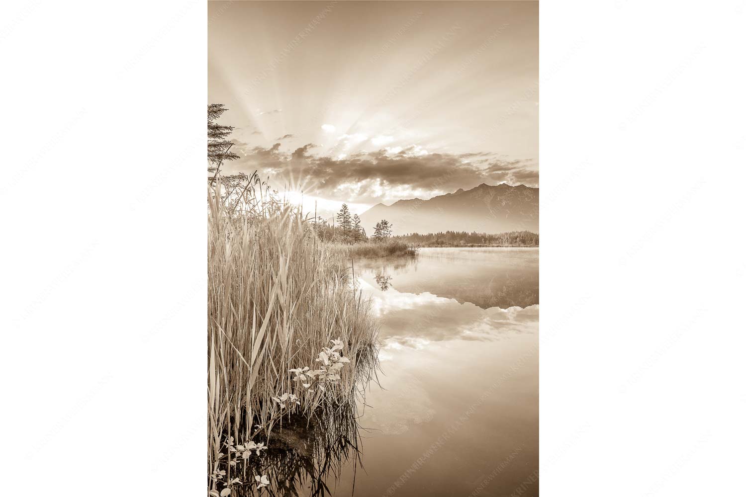 Sonnenaufgang am Barmsee mit Blick zum Karwendel und Wettersteingebirge - Utopia II_2zu3_sepia - mehr Infos bei www.Kriner-Weiermann.de