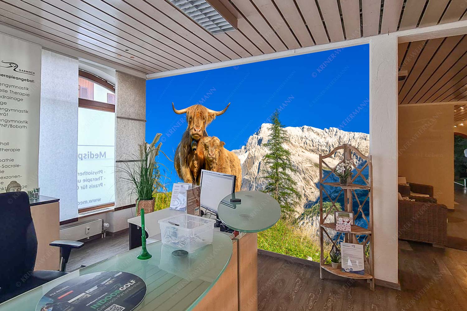 Schottische Hochlandrinder am Halleranger mit Speckkarspitze im Karwendelgebirge - Rezeption=1 (2) Wir gehören zam-Schottisches Hochlandrind mit Kalb 3:2 - mehr Infos bei www.Kriner-Weiermann.de