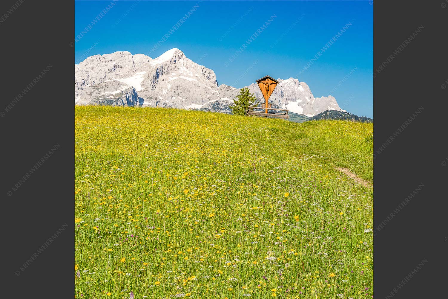 Blick über Blumenwiese am Eckbauer zum Zugspitzmassiv - Wegkreuz II 1:1  -- Alpine Kulturlandschaft Alpspitze Zugspitze - mehr Infos bei www.Kriner-Weiermann.de