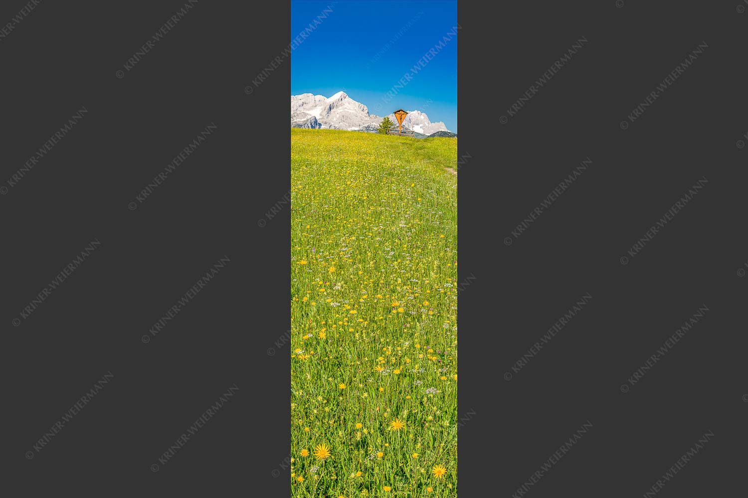 Blick über Blumenwiese am Eckbauer zum Zugspitzmassiv - Wegkreuz II 1:3  -- Alpine Kulturlandschaft Alpspitze Zugspitze - mehr Infos bei www.Kriner-Weiermann.de