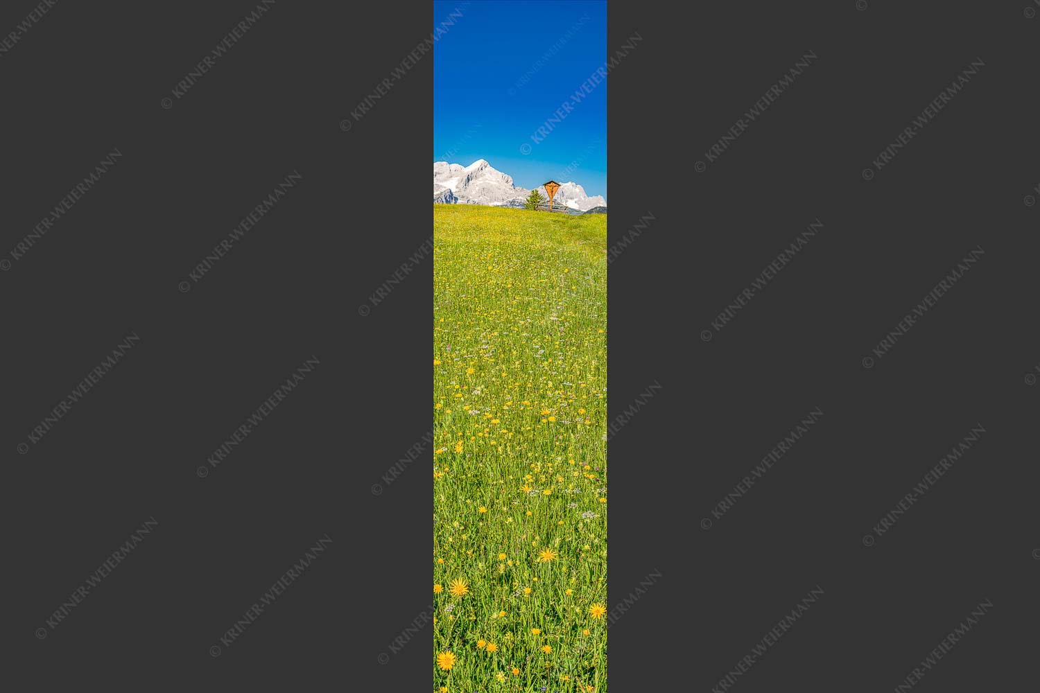 Blick über Blumenwiese am Eckbauer zum Zugspitzmassiv - Wegkreuz II 1:4  -- Alpine Kulturlandschaft Alpspitze Zugspitze - mehr Infos bei www.Kriner-Weiermann.de
