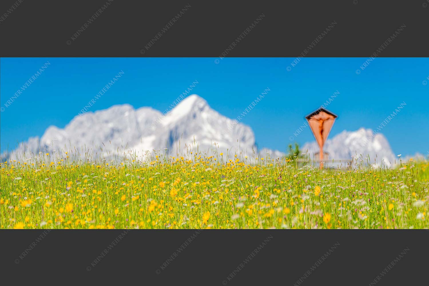 Blick über Blumenwiese am Eckbauer zum Zugspitzmassiv - Wegkreuz III 2,5:1  -- Alpine Kulturlandschaft Alpspitze Zugspitze - mehr Infos bei www.Kriner-Weiermann.de