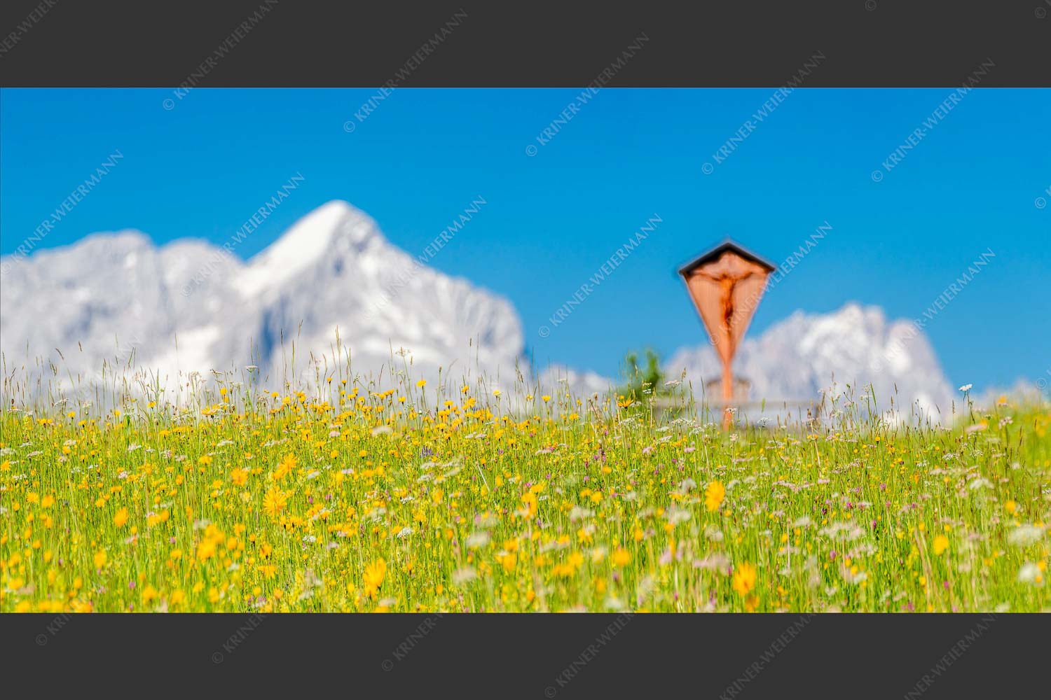 Blick über Blumenwiese am Eckbauer zum Zugspitzmassiv - Wegkreuz III 2:1  -- Alpine Kulturlandschaft Alpspitze Zugspitze - mehr Infos bei www.Kriner-Weiermann.de