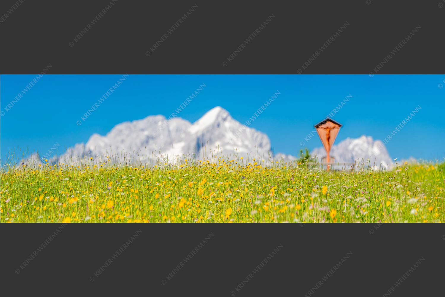 Blick über Blumenwiese am Eckbauer zum Zugspitzmassiv - Wegkreuz III 3:1  -- Alpine Kulturlandschaft Alpspitze Zugspitze - mehr Infos bei www.Kriner-Weiermann.de