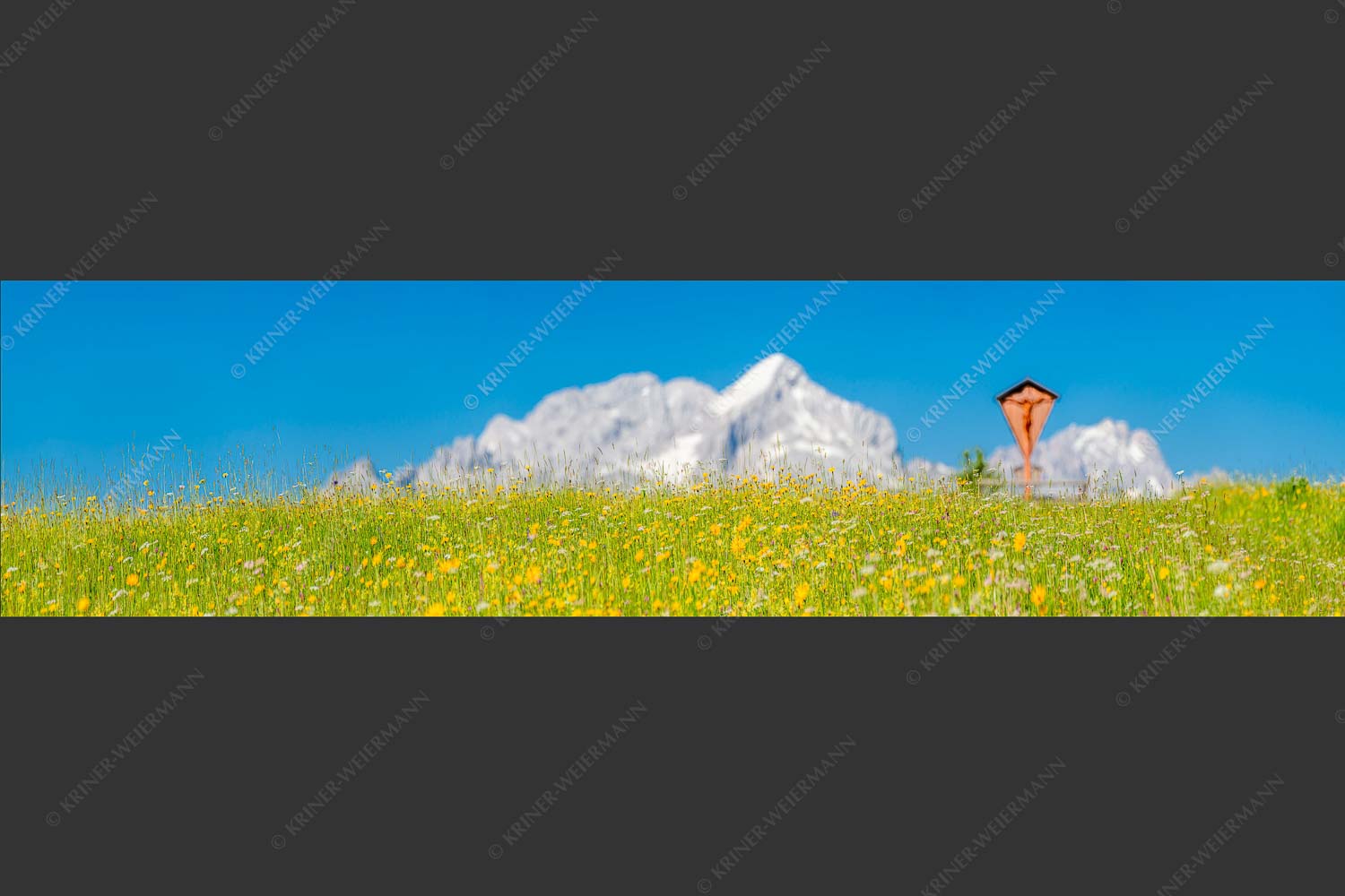 Blick über Blumenwiese am Eckbauer zum Zugspitzmassiv - Wegkreuz III 4:1  -- Alpine Kulturlandschaft Alpspitze Zugspitze - mehr Infos bei www.Kriner-Weiermann.de