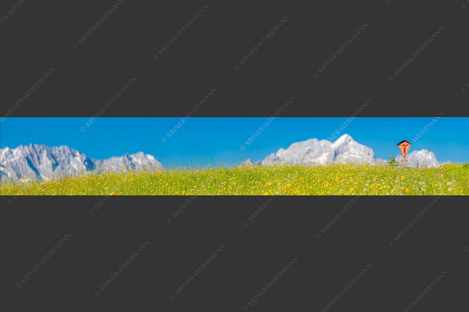 Blick über Blumenwiese am Eckbauer zum Zugspitzmassiv - Wegkreuz III 6:1  -- Alpine Kulturlandschaft Alpspitze Zugspitze - mehr Infos bei www.Kriner-Weiermann.de