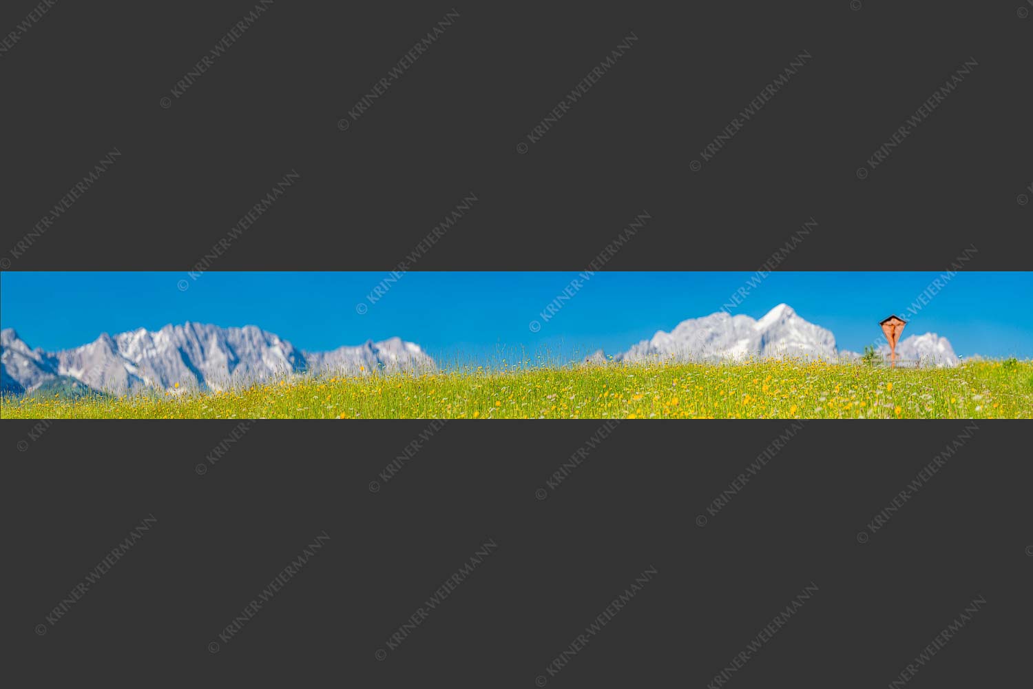 Blick über Blumenwiese am Eckbauer zum Zugspitzmassiv - Wegkreuz III 7:1  -- Alpine Kulturlandschaft Alpspitze Zugspitze - mehr Infos bei www.Kriner-Weiermann.de