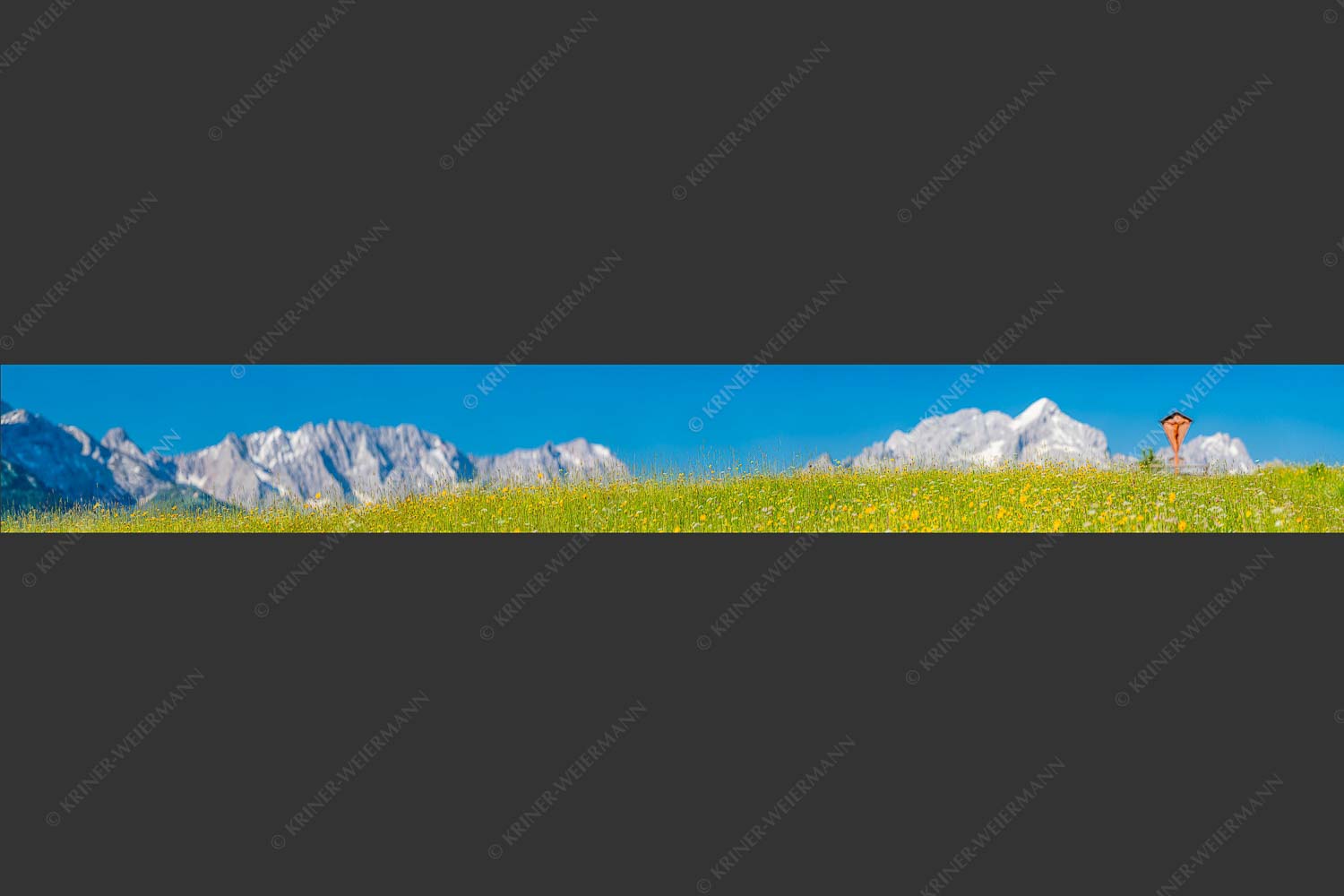 Blick über Blumenwiese am Eckbauer zum Zugspitzmassiv - Wegkreuz III 8:1  -- Alpine Kulturlandschaft Alpspitze Zugspitze - mehr Infos bei www.Kriner-Weiermann.de