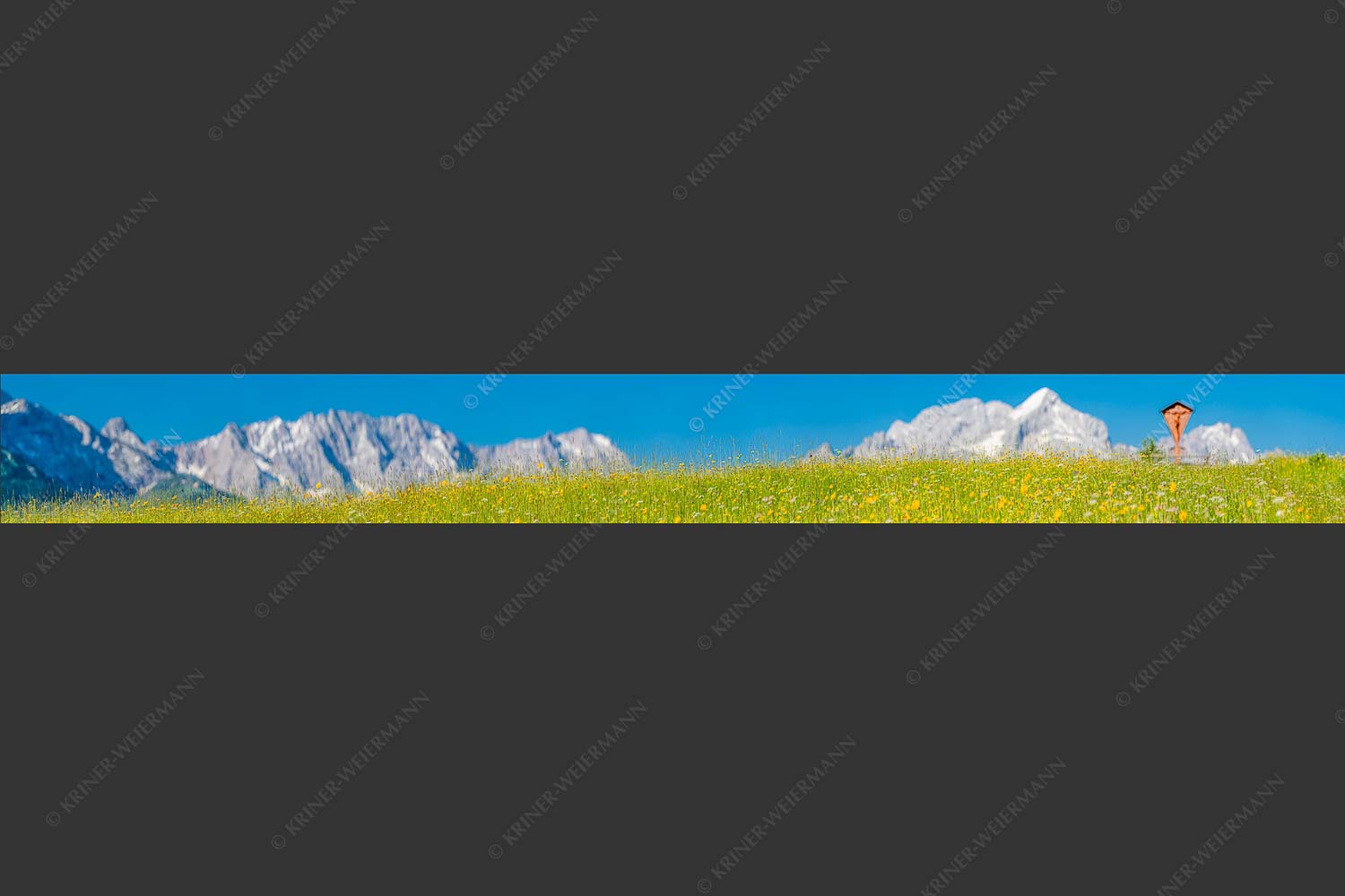 Blick über Blumenwiese am Eckbauer zum Zugspitzmassiv - Wegkreuz III 9:1  -- Alpine Kulturlandschaft Alpspitze Zugspitze - mehr Infos bei www.Kriner-Weiermann.de