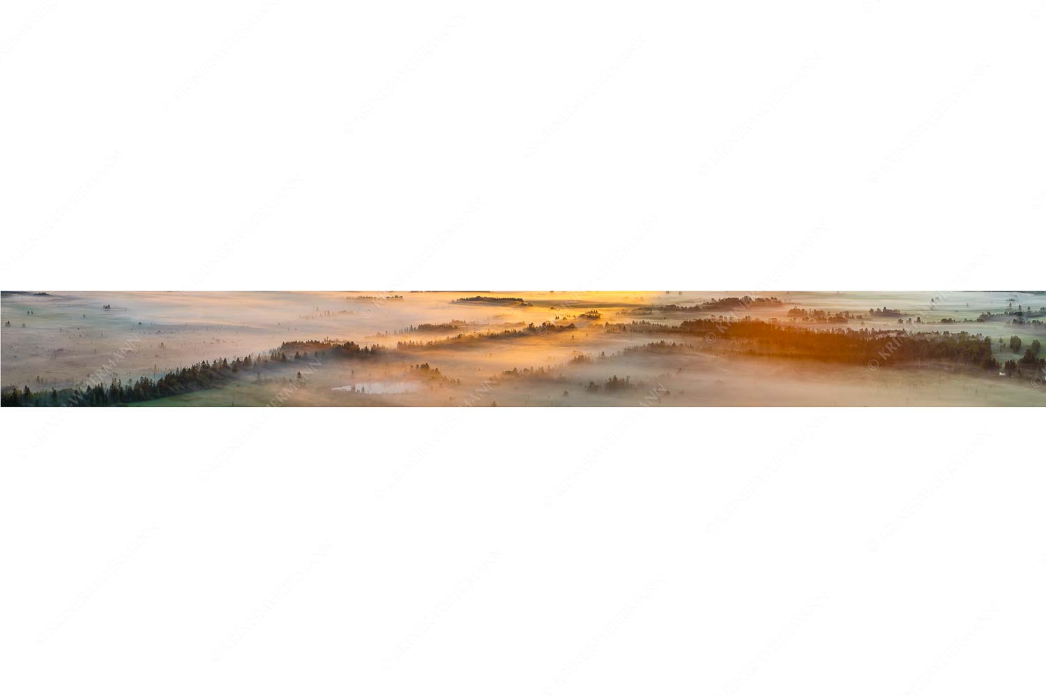 Nebelstimmung im Kochlermoos - Schleiergewand_9zu1 - mehr Infos bei www.Kriner-Weiermann.de