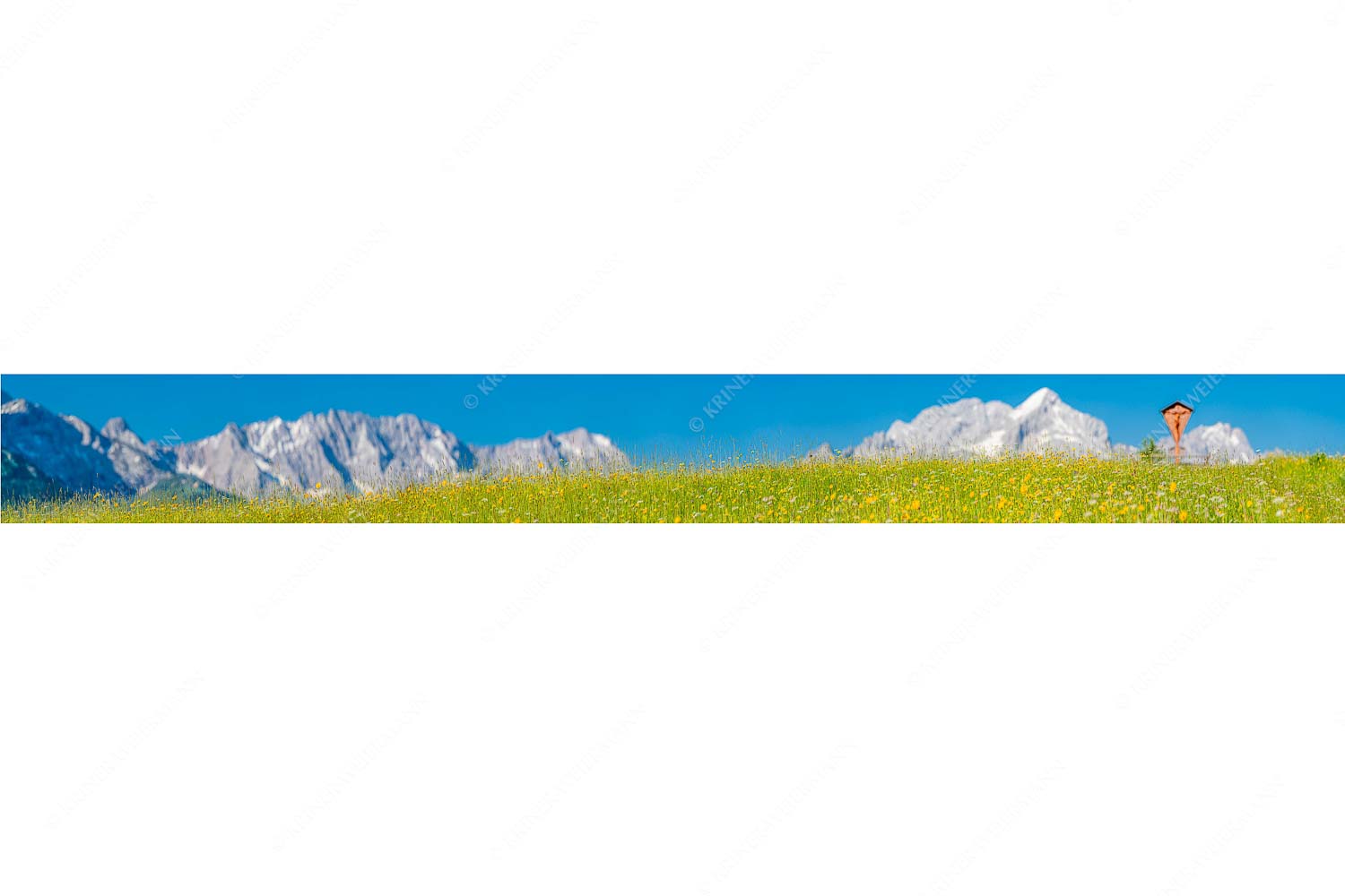 Blick über Blumenwiese am Eckbauer zum Zugspitzmassiv - Wegkreuz III_9zu1 - mehr Infos bei www.Kriner-Weiermann.de