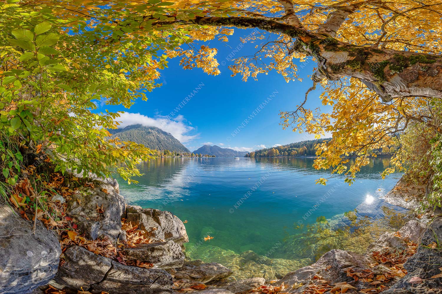 Farbenfroh zeigen sich im Herbst die Uferregionen des Sees - Walchensee im Herbst_3zu2 - mehr Infos bei www.Kriner-Weiermann.de